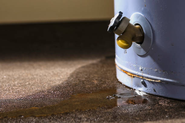 Best Basement water damage restoration  in Old Jamestown, MO