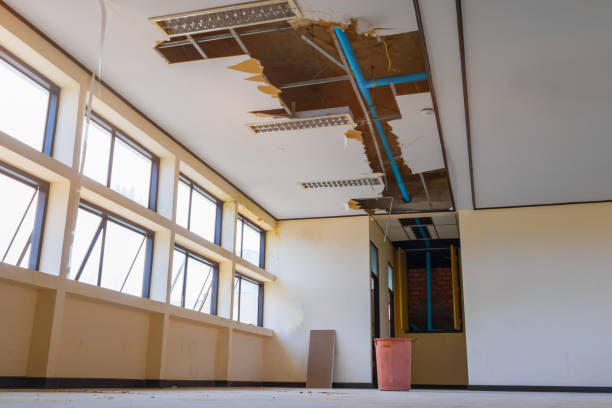 Best Water damage restoration near me  in Old Jamestown, MO