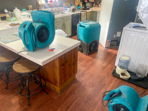 Best Emergency water damage restoration  in Old Jamestown, MO