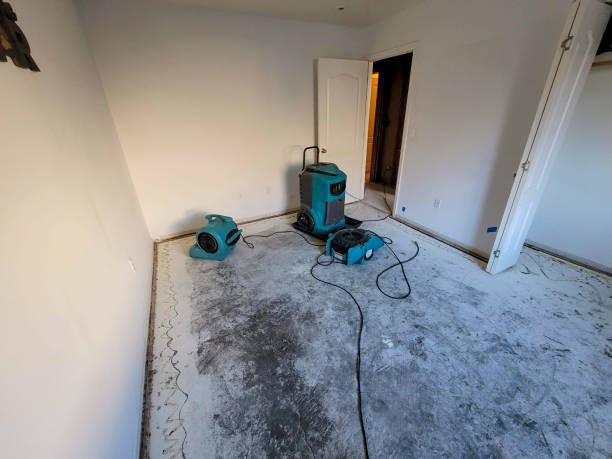 Trusted Old Jamestown, MO Water damage restoration Experts