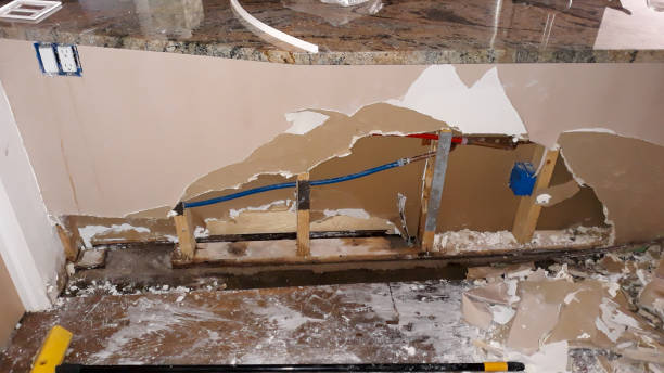 Best 24/7 water damage repair  in Old Jamestown, MO