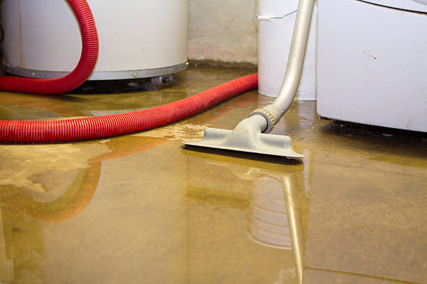Best Mold removal after water damage  in Old Jamestown, MO