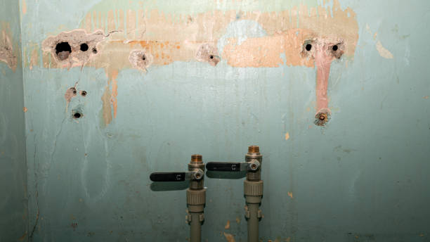 Old Jamestown, MO Water damage restoration Company