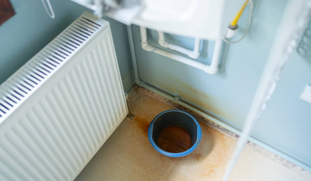 Best Water damage restoration insurance claims  in Old Jamestown, MO