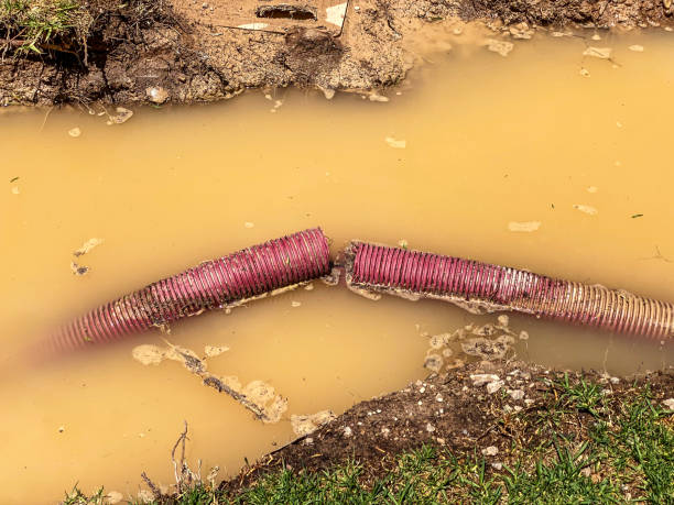 Best Carpet water damage restoration  in Old Jamestown, MO