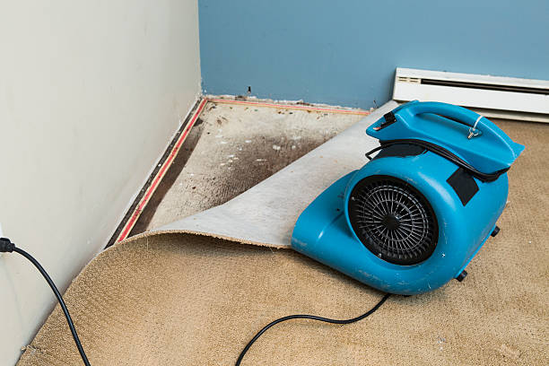 Best Water damage restoration experts  in Old Jamestown, MO